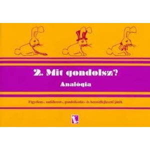 Dékány Judit: Mit gondolsz? 2. Analógia
