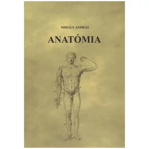 Mihály András: Anatómia
