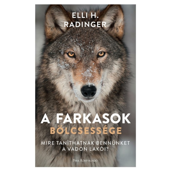 Radinger, Elli H.: A farkasok bölcsessége - Mire taníthatnak bennünket a vadon lakói?