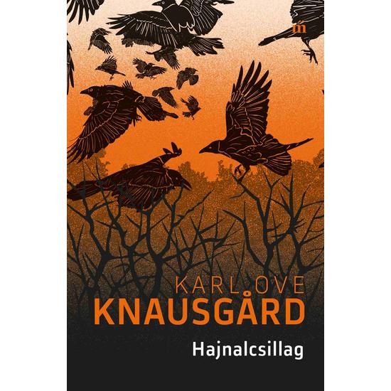 Karl Ove Knausgård: Hajnalcsillag 