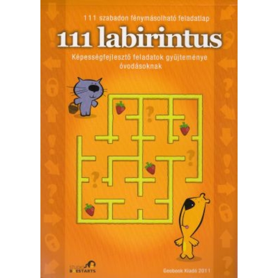 N/A: 111 labirintus - Képességfejlesztő feladatok gyűjteménye óvodásoknak