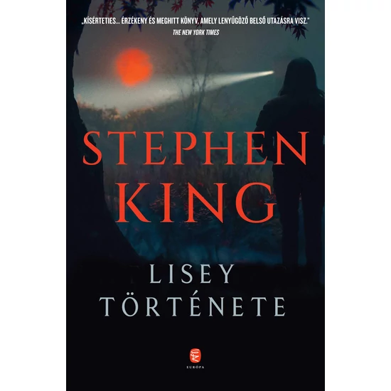 Stephen King: Lisey története